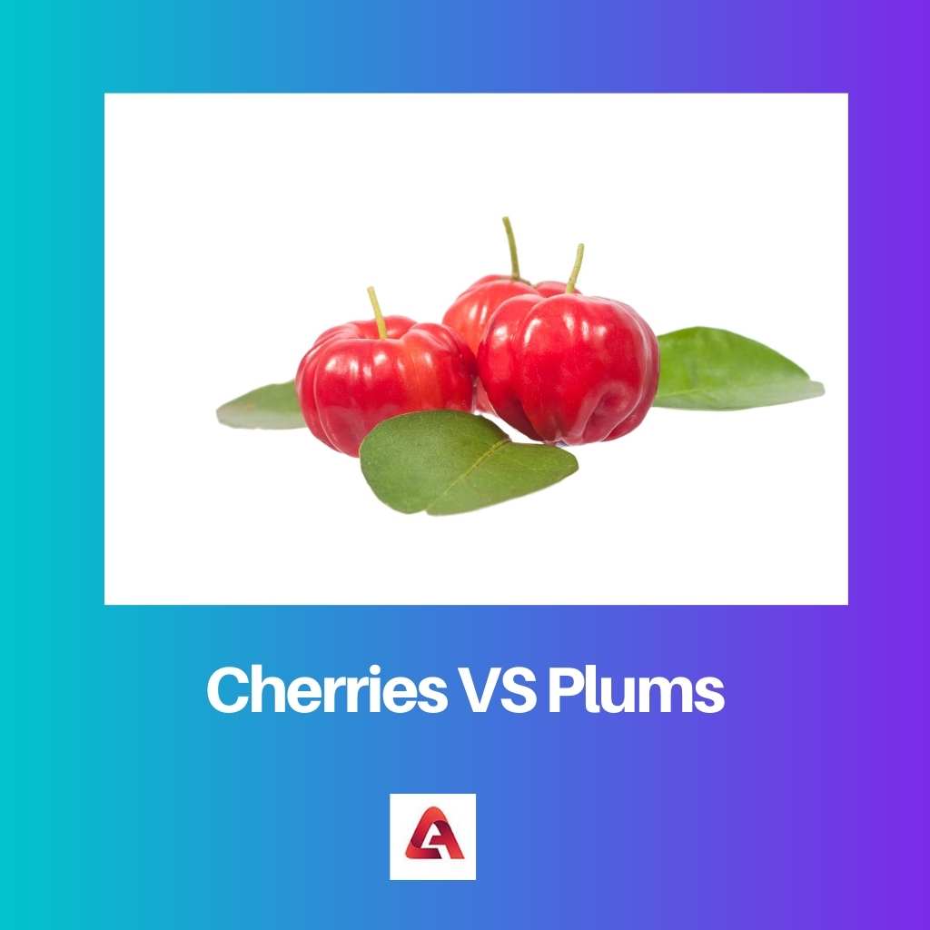Cherries VS Plums