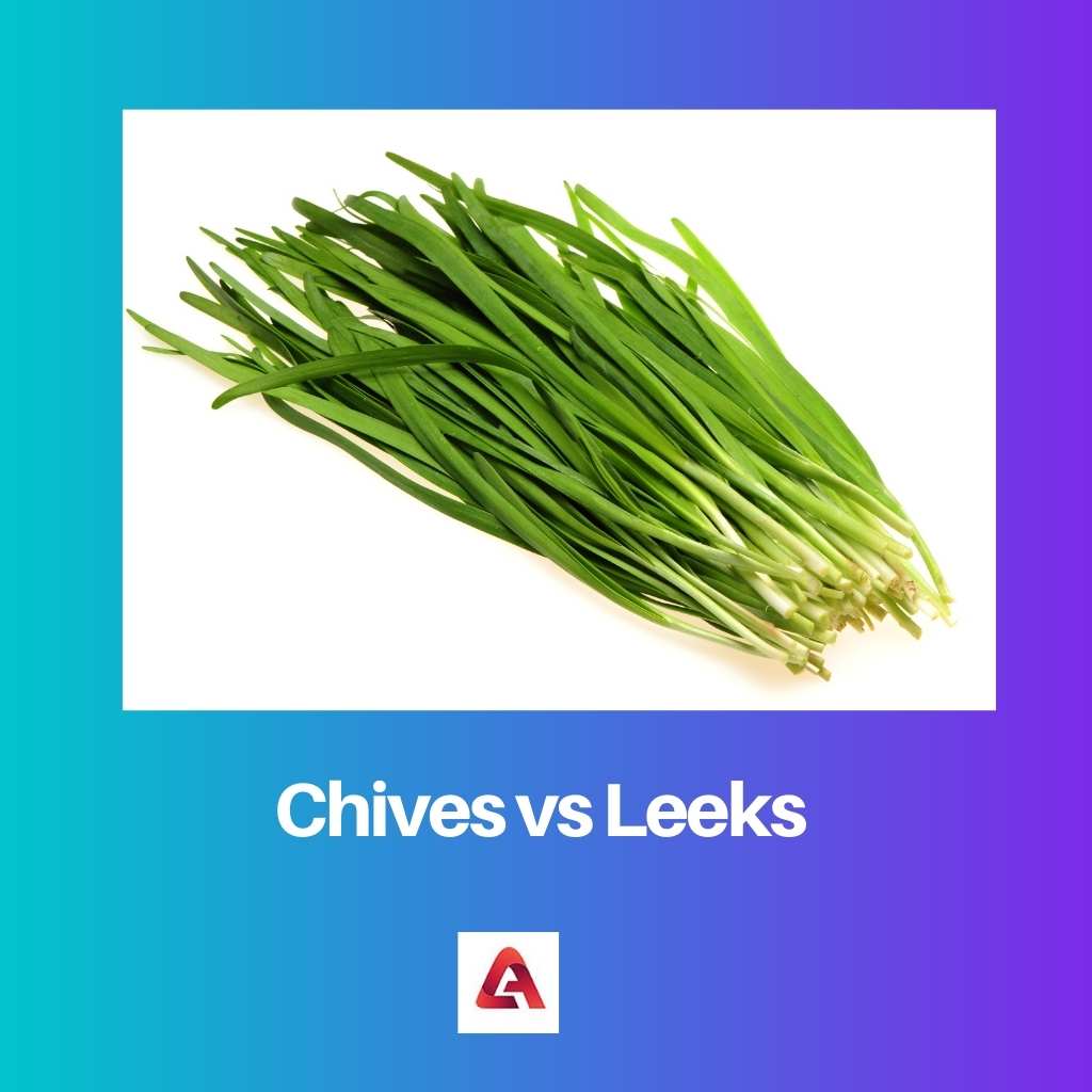 Chives vs Leeks