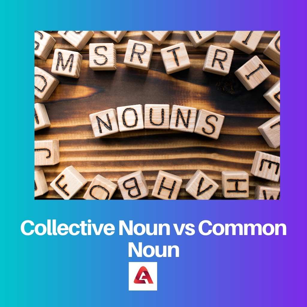 Collective Noun vs Common Noun