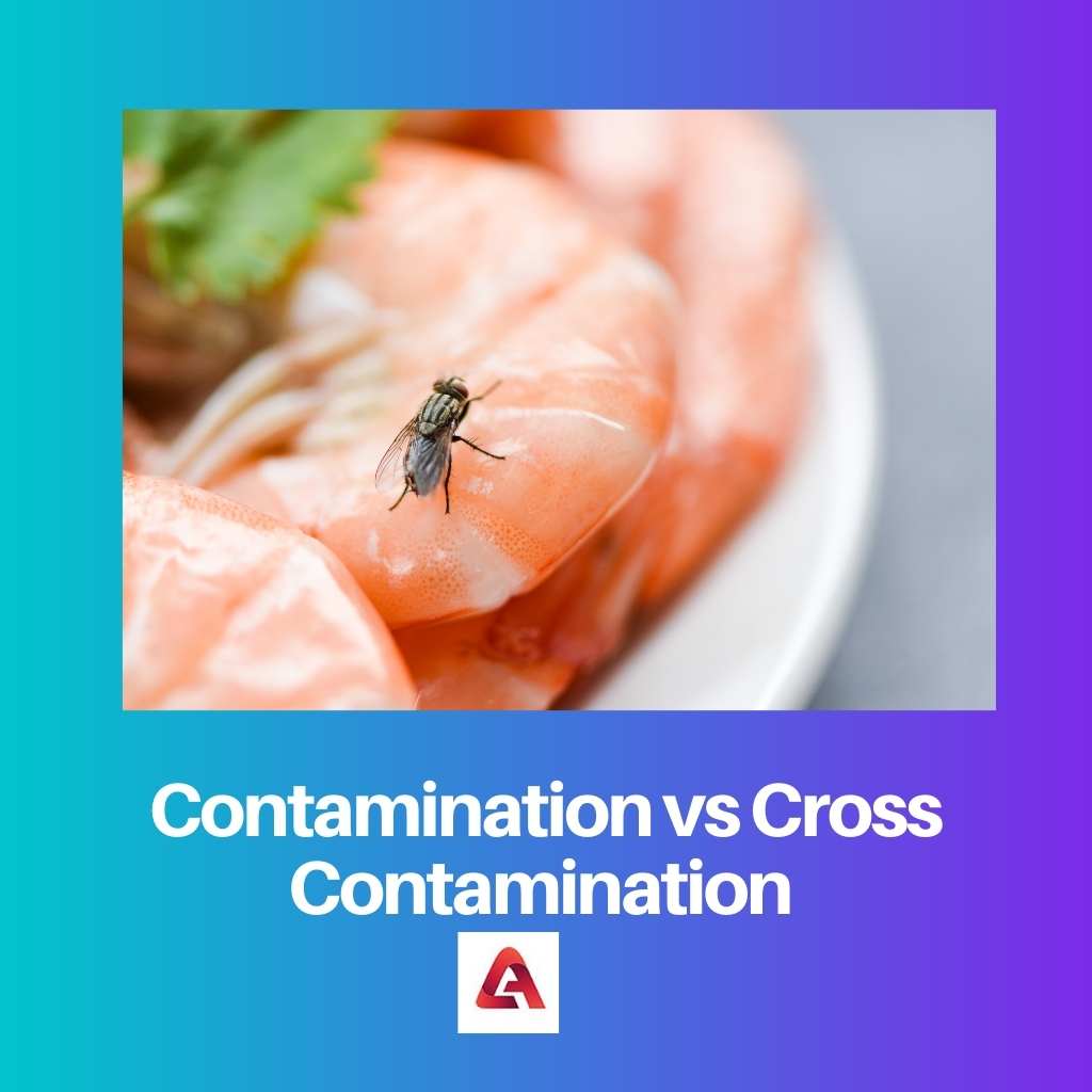 Contamination vs Cross Contamination