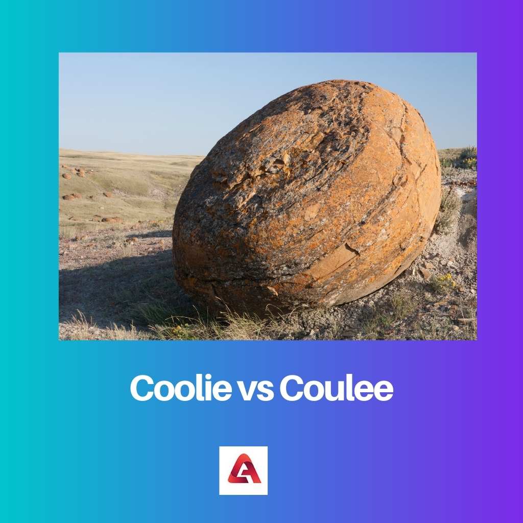 Coolie vs Coulee
