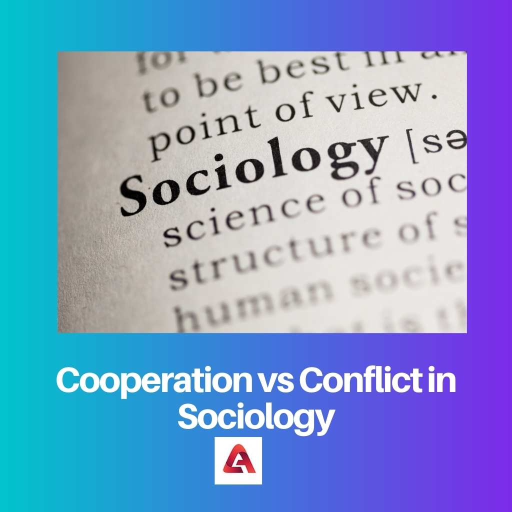 Cooperation vs Conflict in Sociology