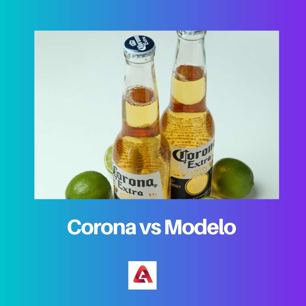 Corona vs Modelo