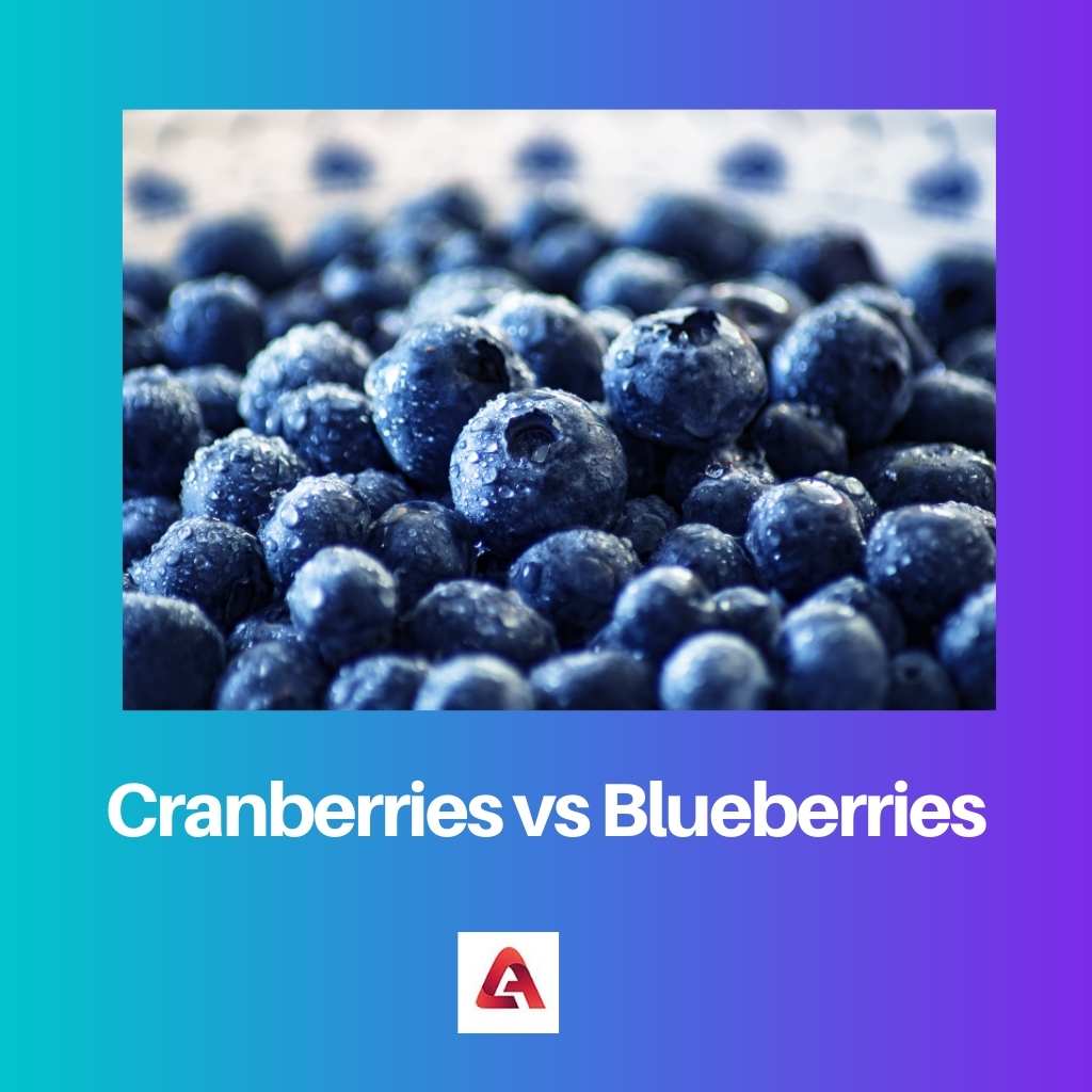 Cranberries vs Blueberries