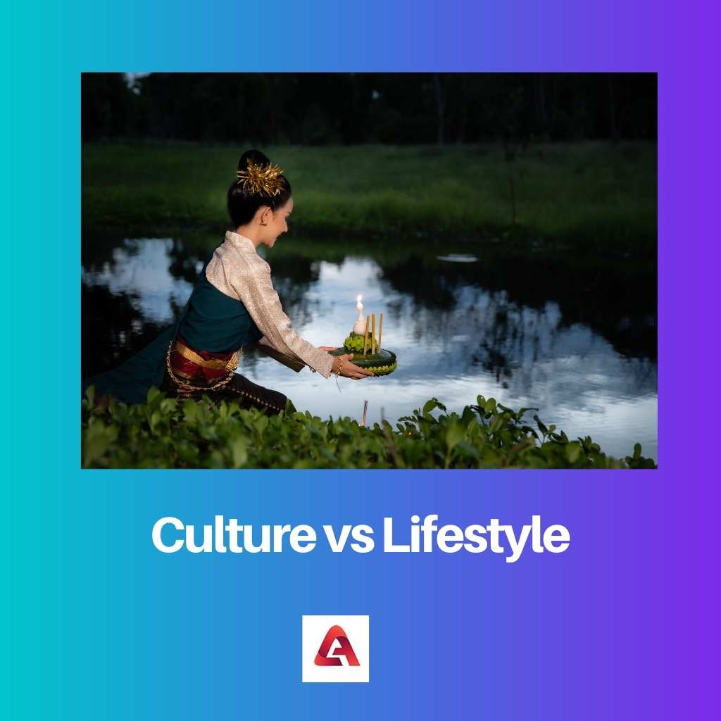 Culture vs Lifestyle