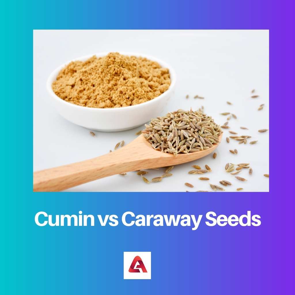 Cumin vs Caraway Seeds