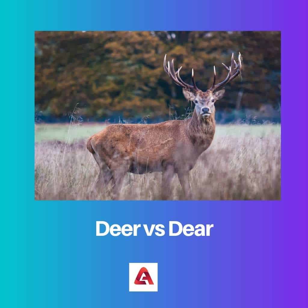 difference-between-deer-and-dear