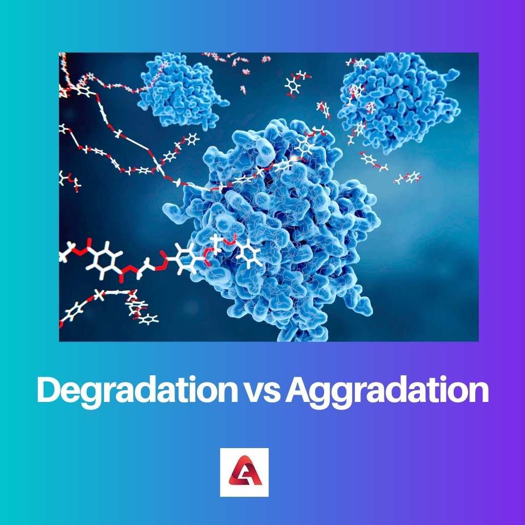 Degradation vs Aggradation