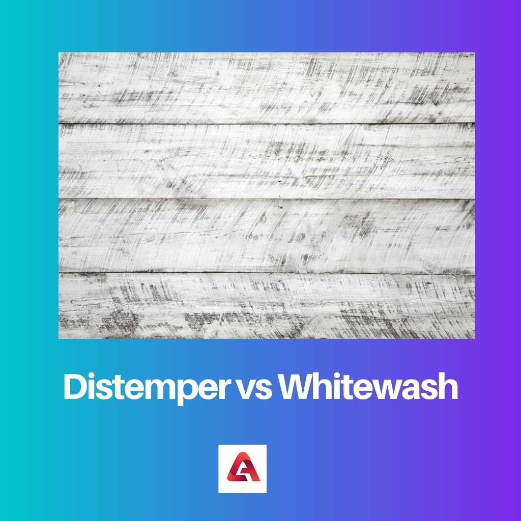 Distemper vs Whitewash 1