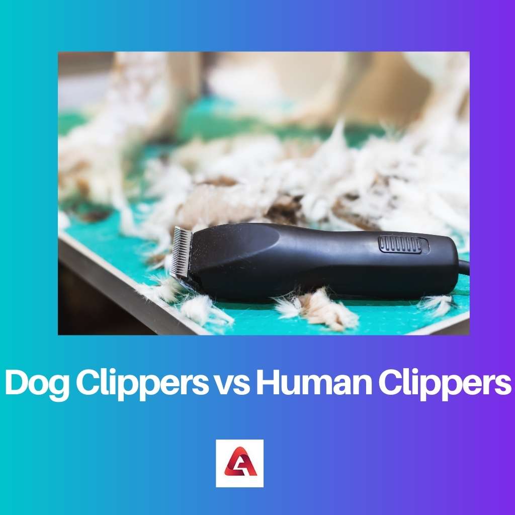 Dog Clippers vs Human Clippers