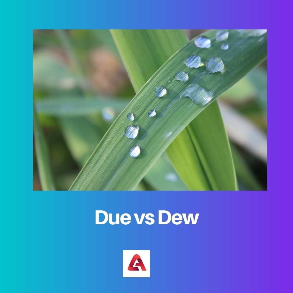 Due vs Dew