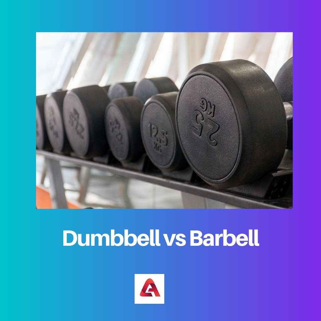 Dumbbell vs Barbell