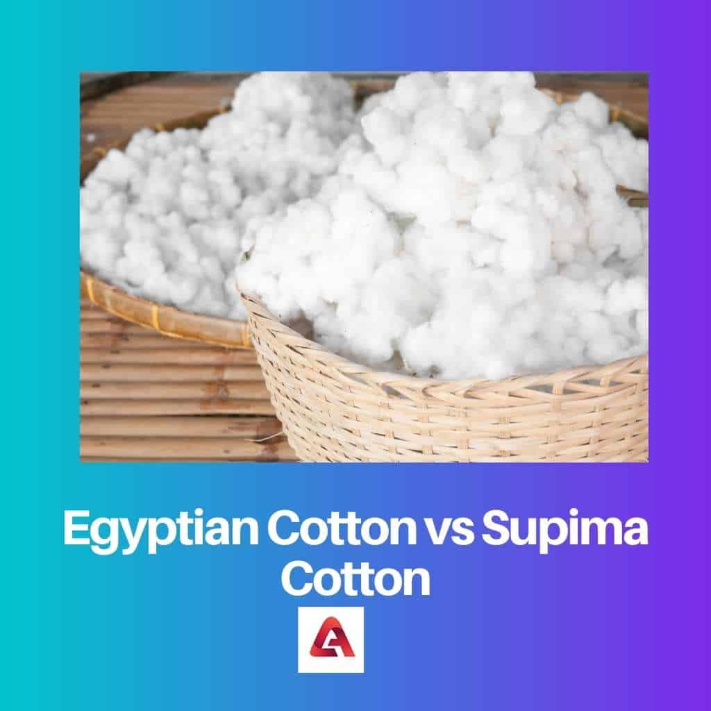 difference-between-egyptian-cotton-and-supima-cotton