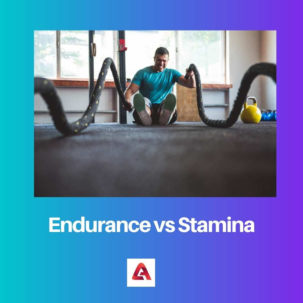 Endurance vs Stamina