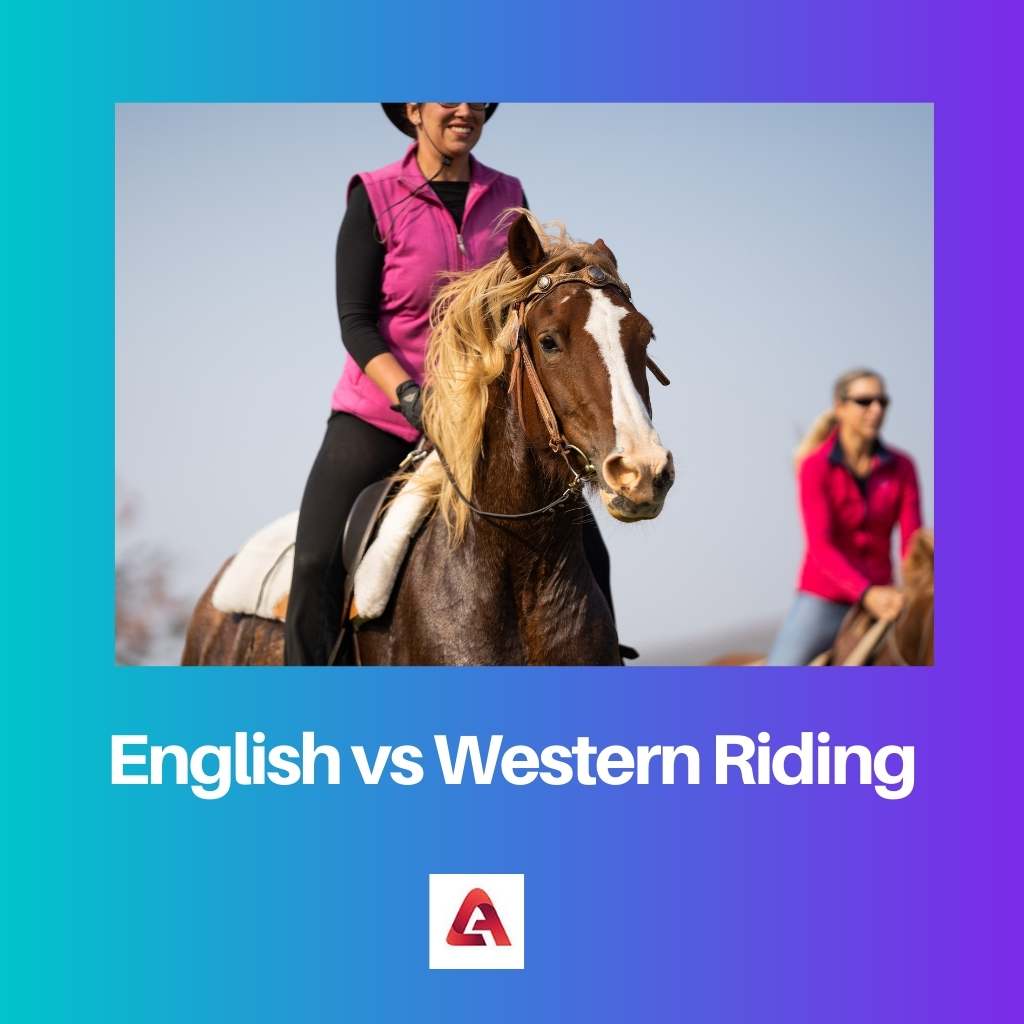 English vs Western Riding