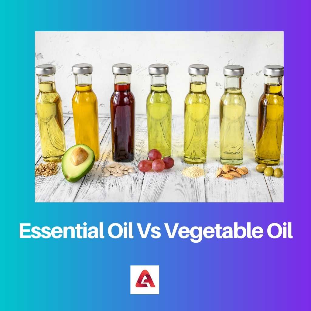 Essential Oil Vs Vegetable Oil