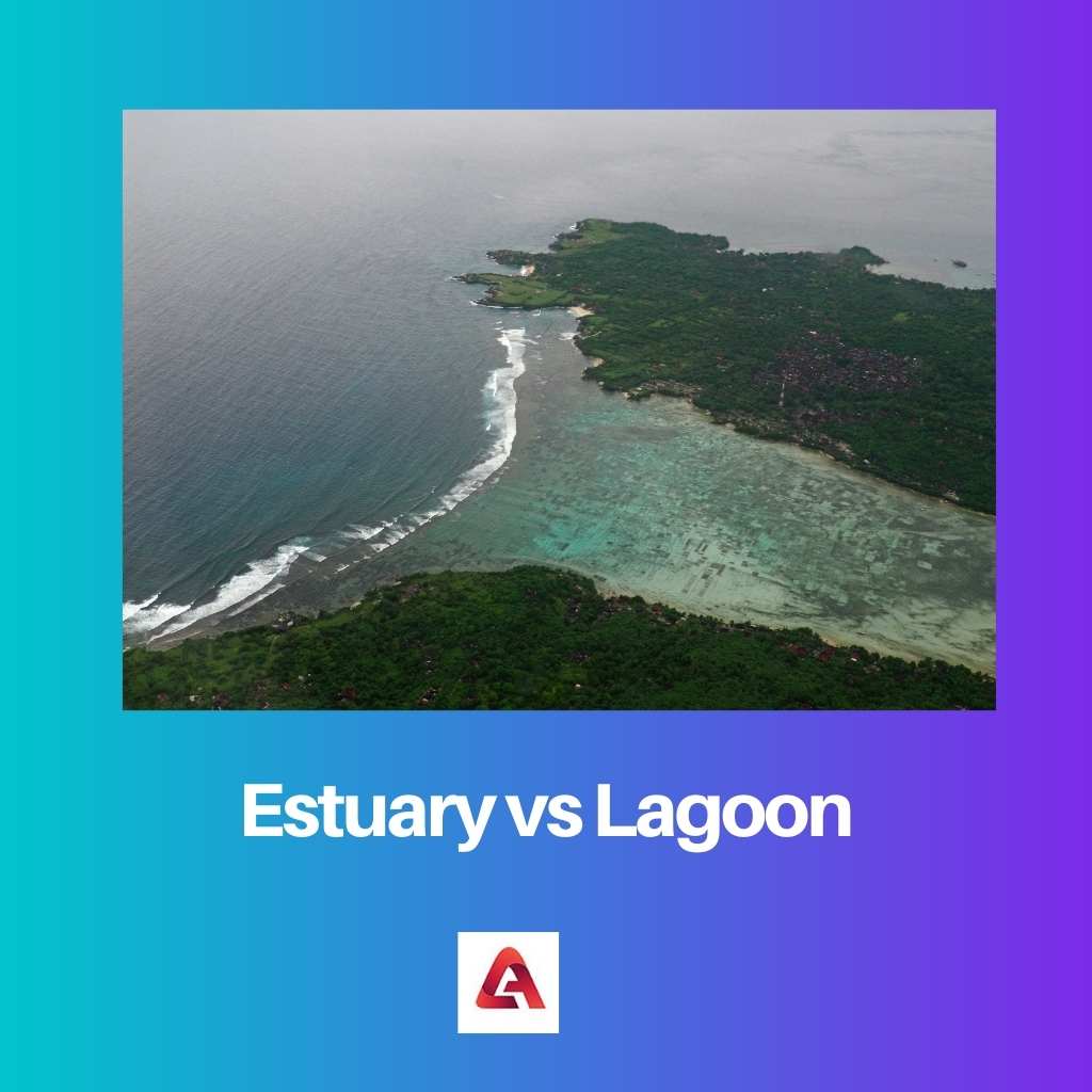 Estuary vs Lagoon