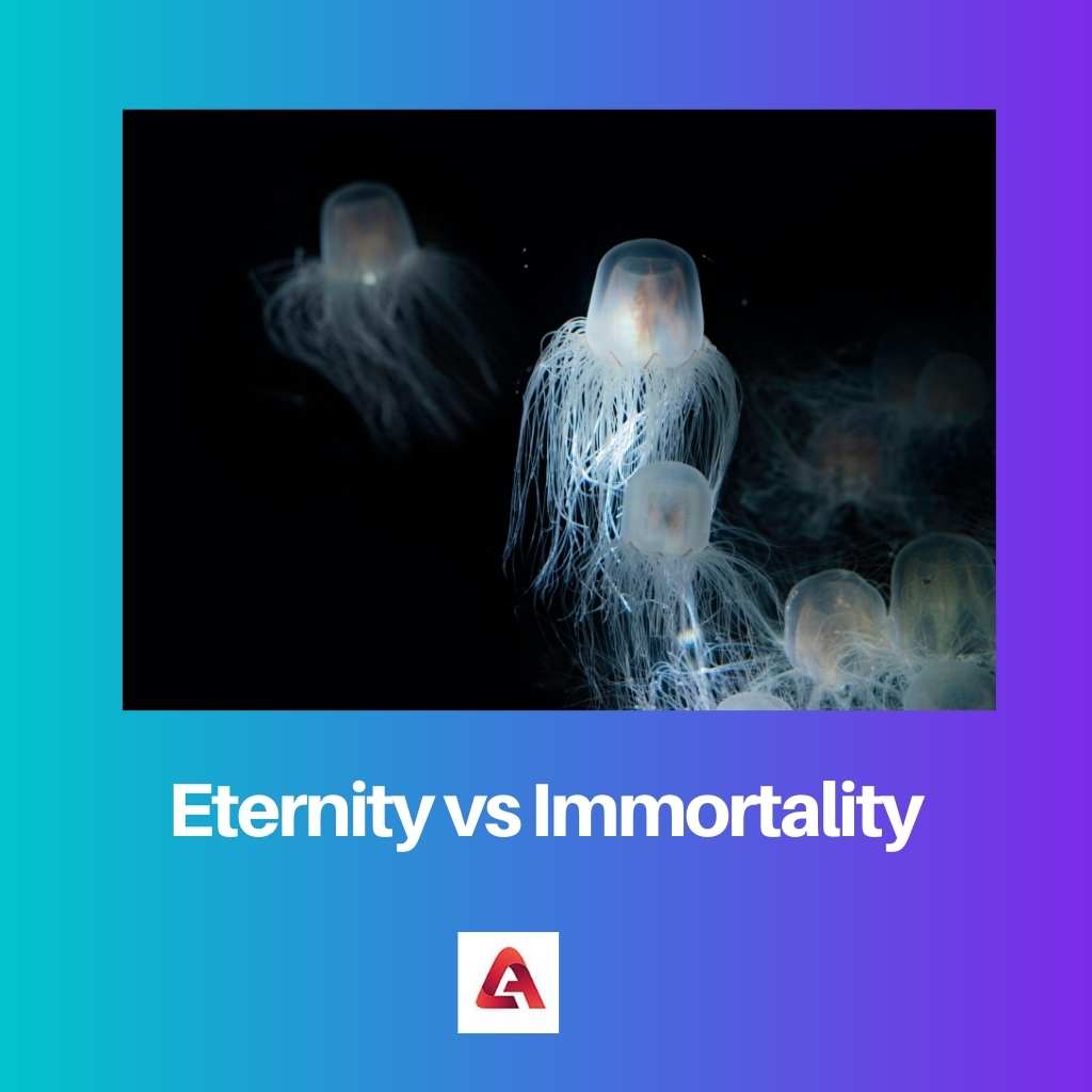 Eternity vs Immortality