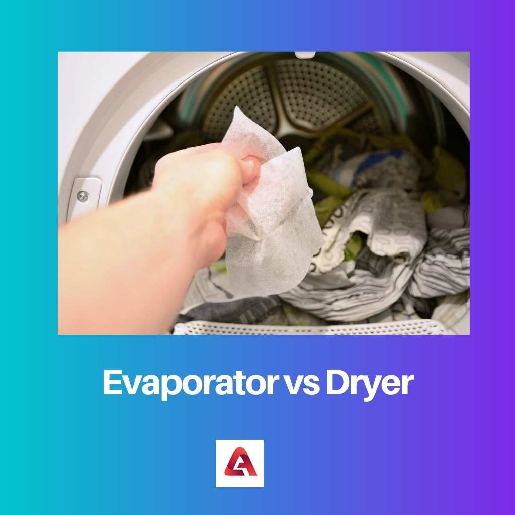 Evaporator vs Dryer