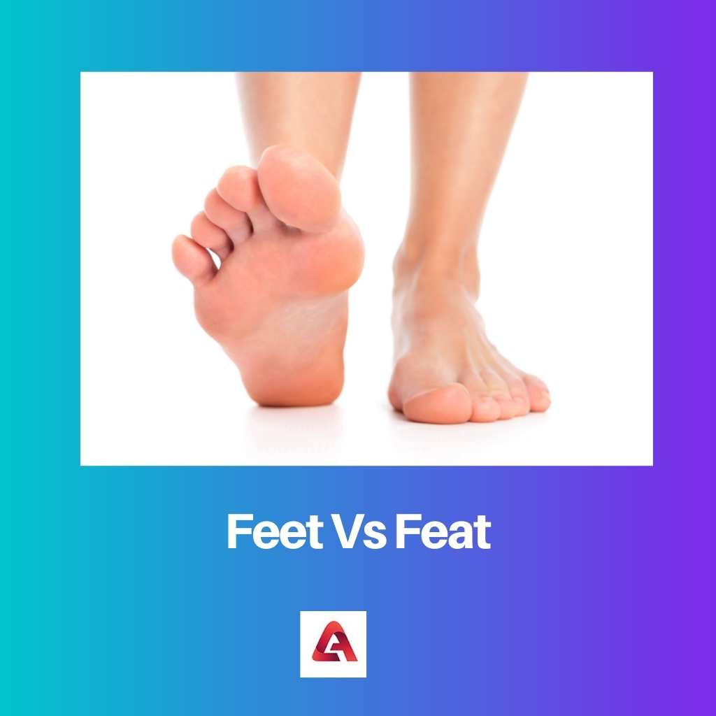 Feet Vs Feat
