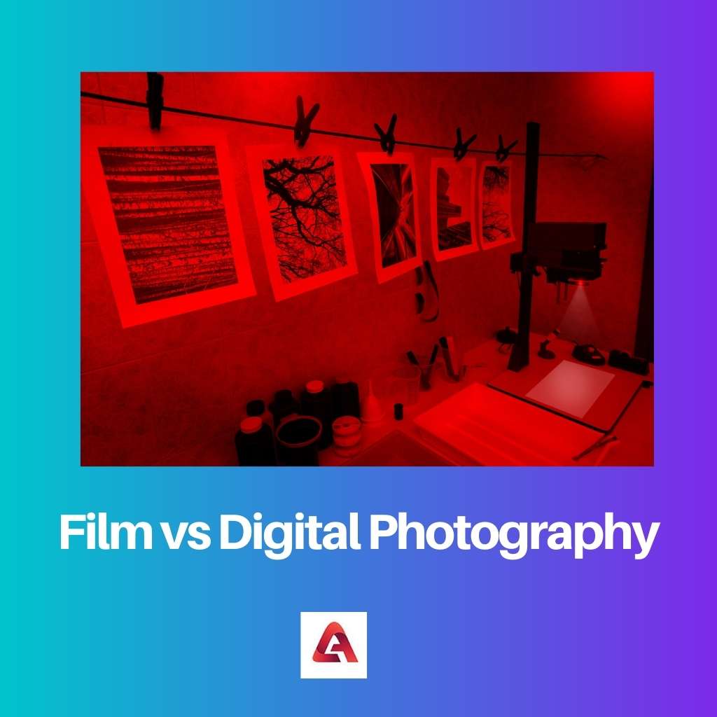 Film vs Digital Photography