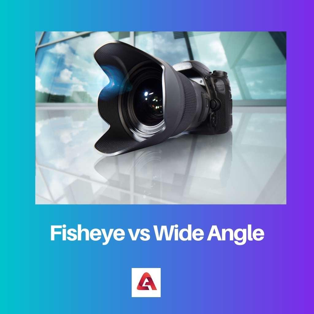 Fisheye vs Wide Angle