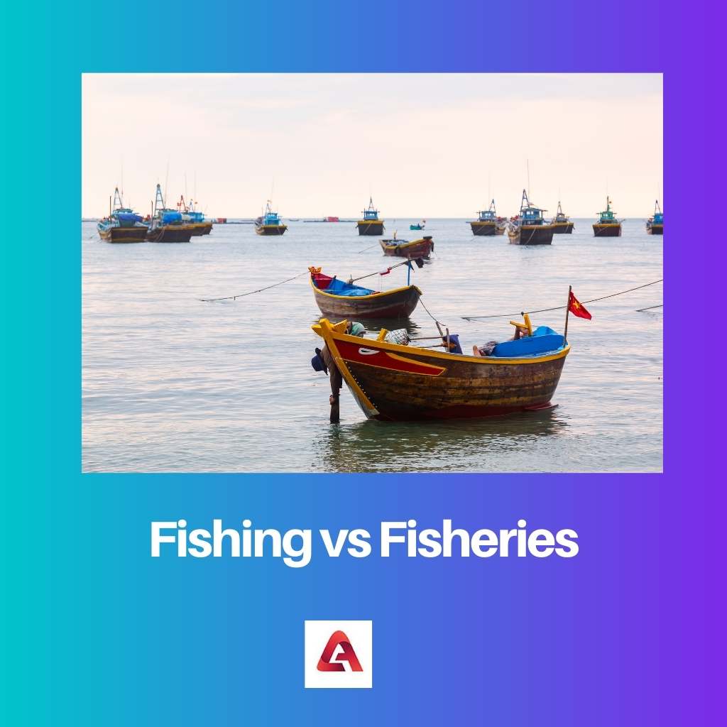 Fishing vs Fisheries