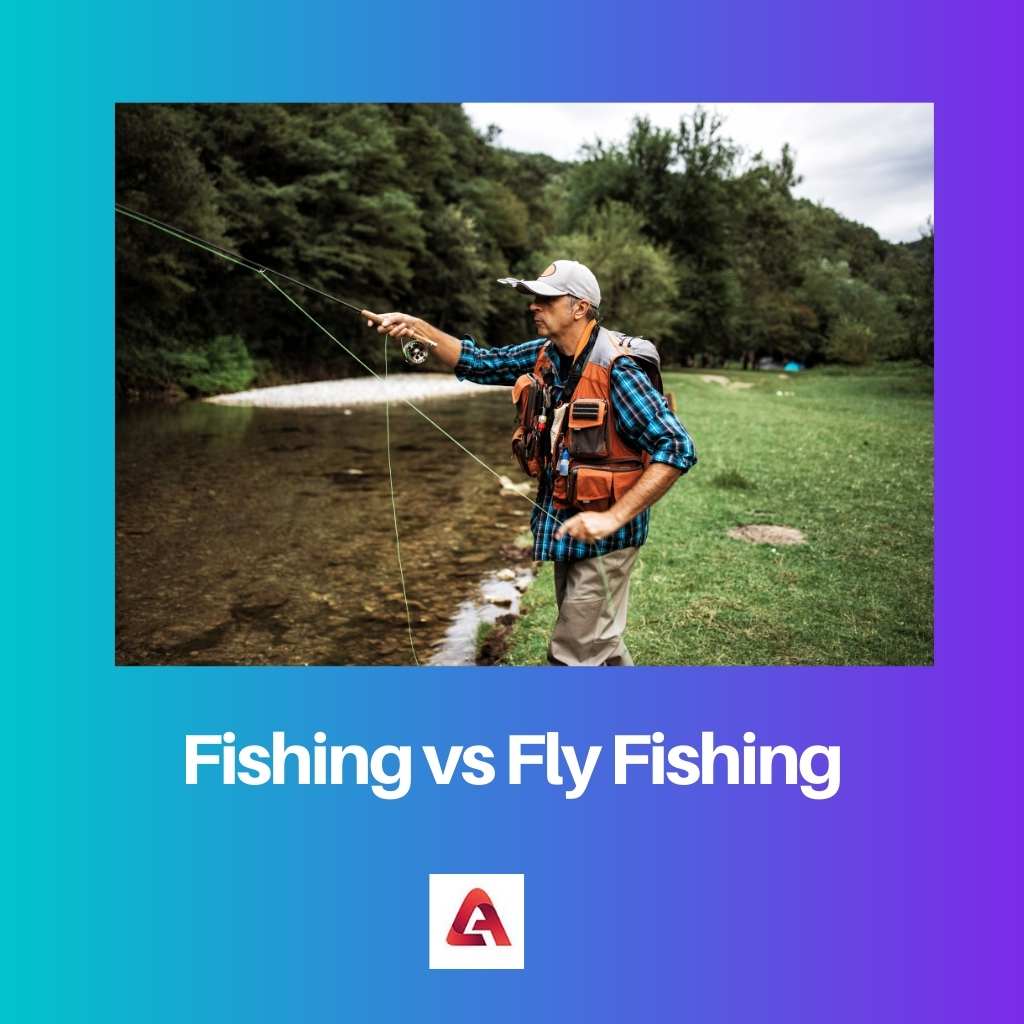 Fishing vs Fly Fishing