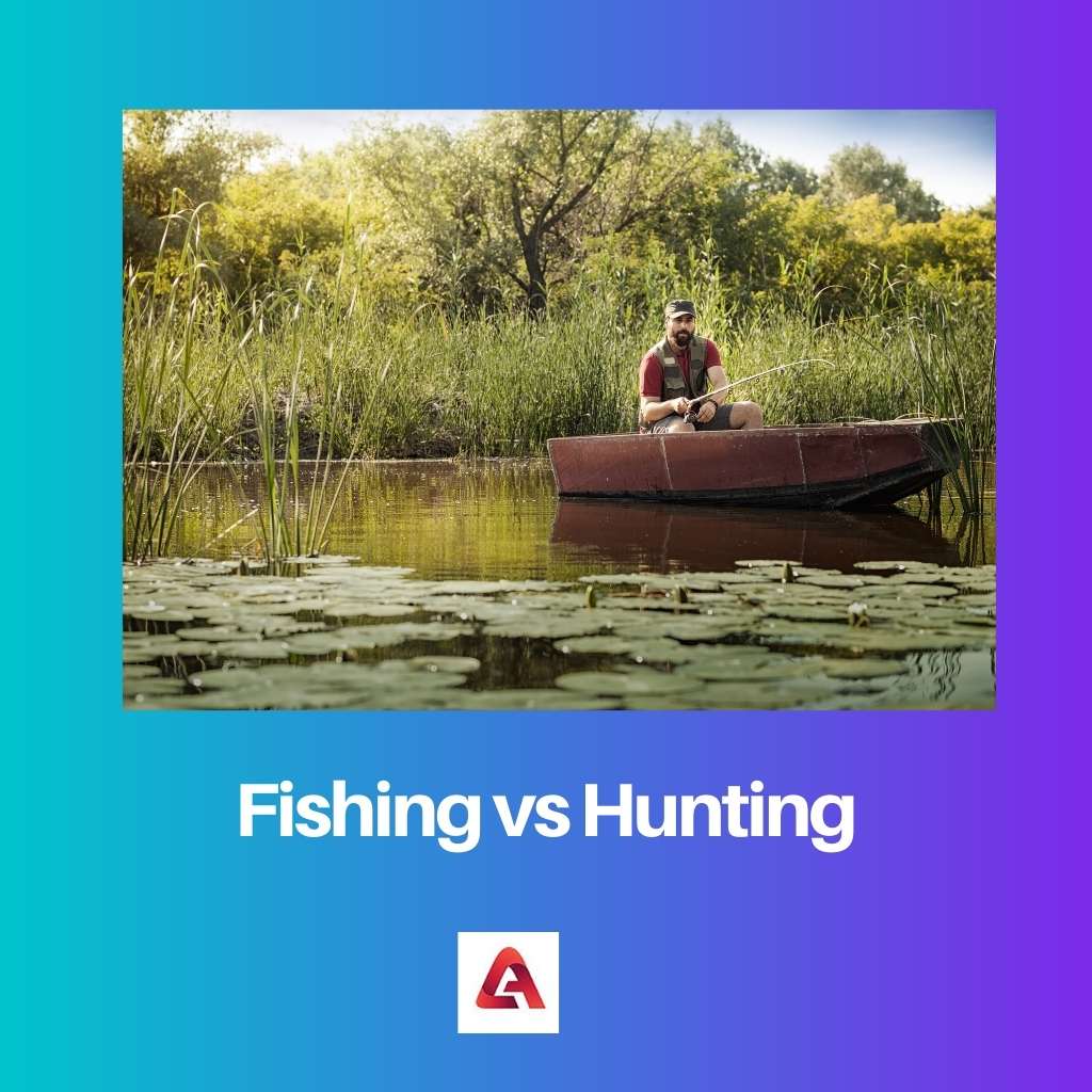 Fishing vs Hunting