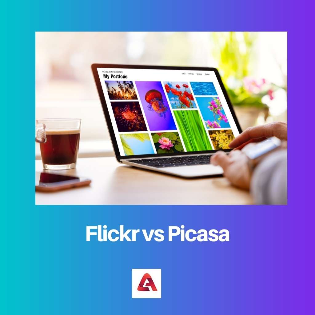 Flickr vs Picasa