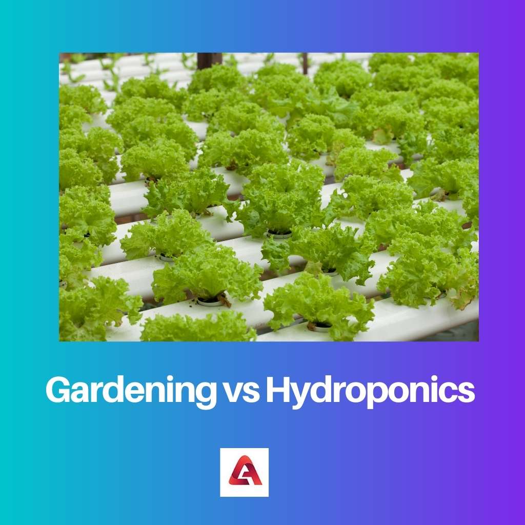 Gardening vs Hydroponics