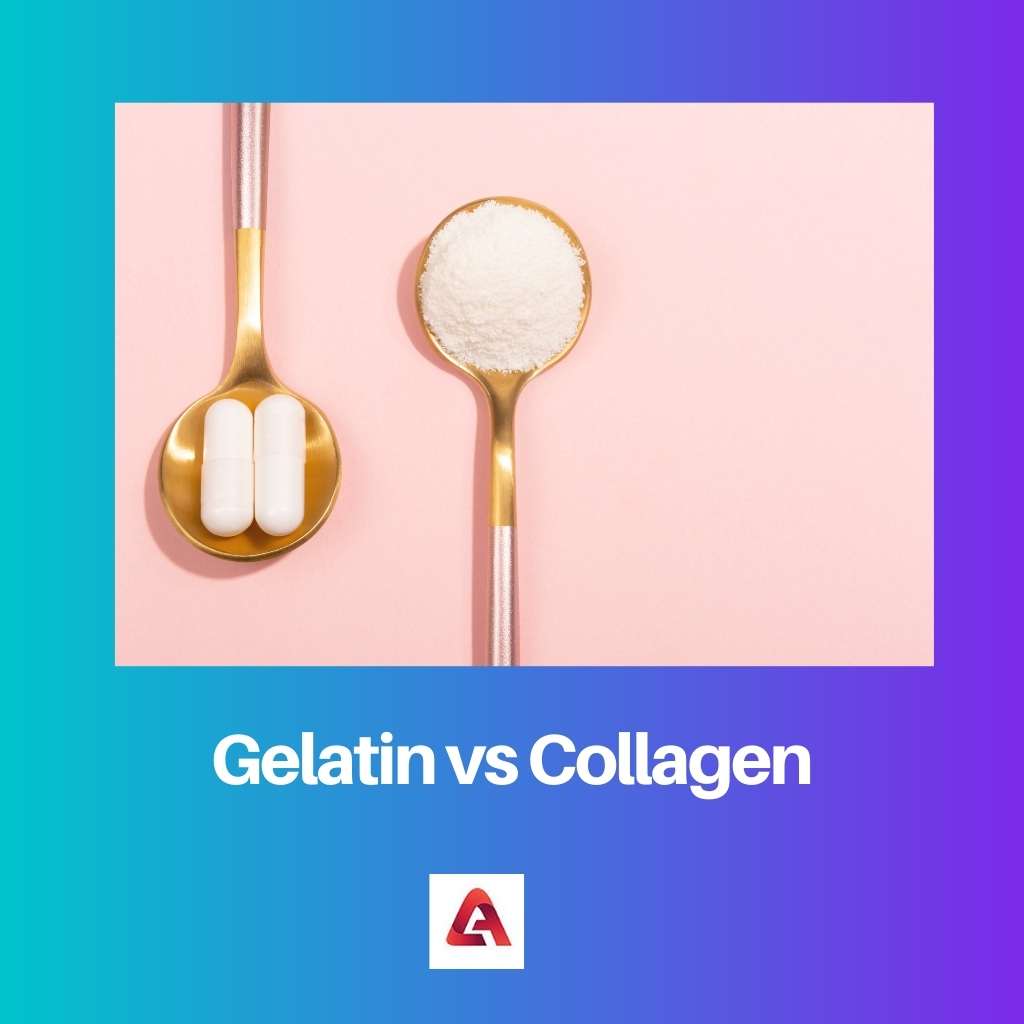 Gelatin vs Collagen