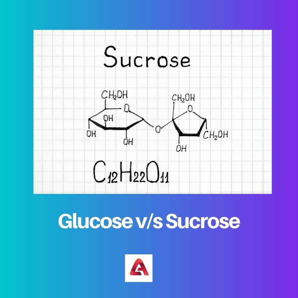 Glucose vs Sucrose