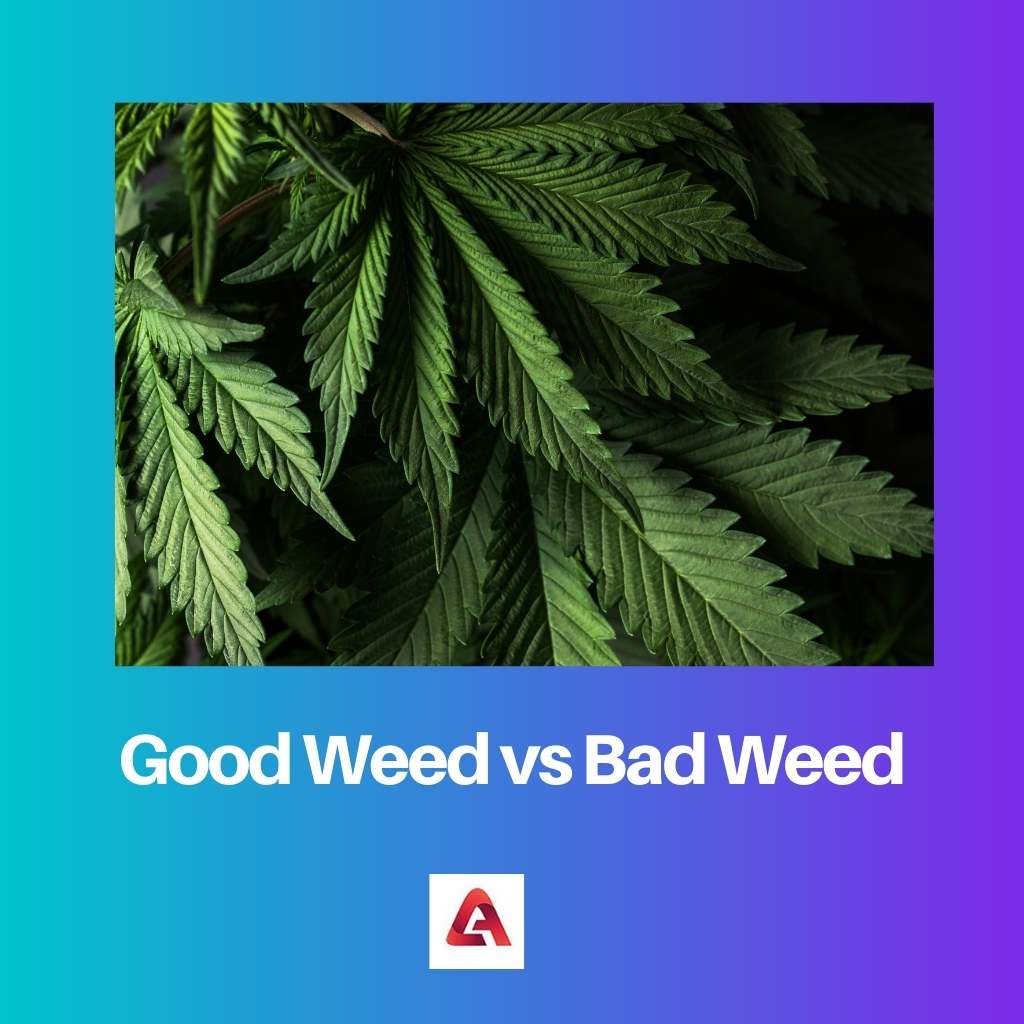 Good Weed vs Bad Weed