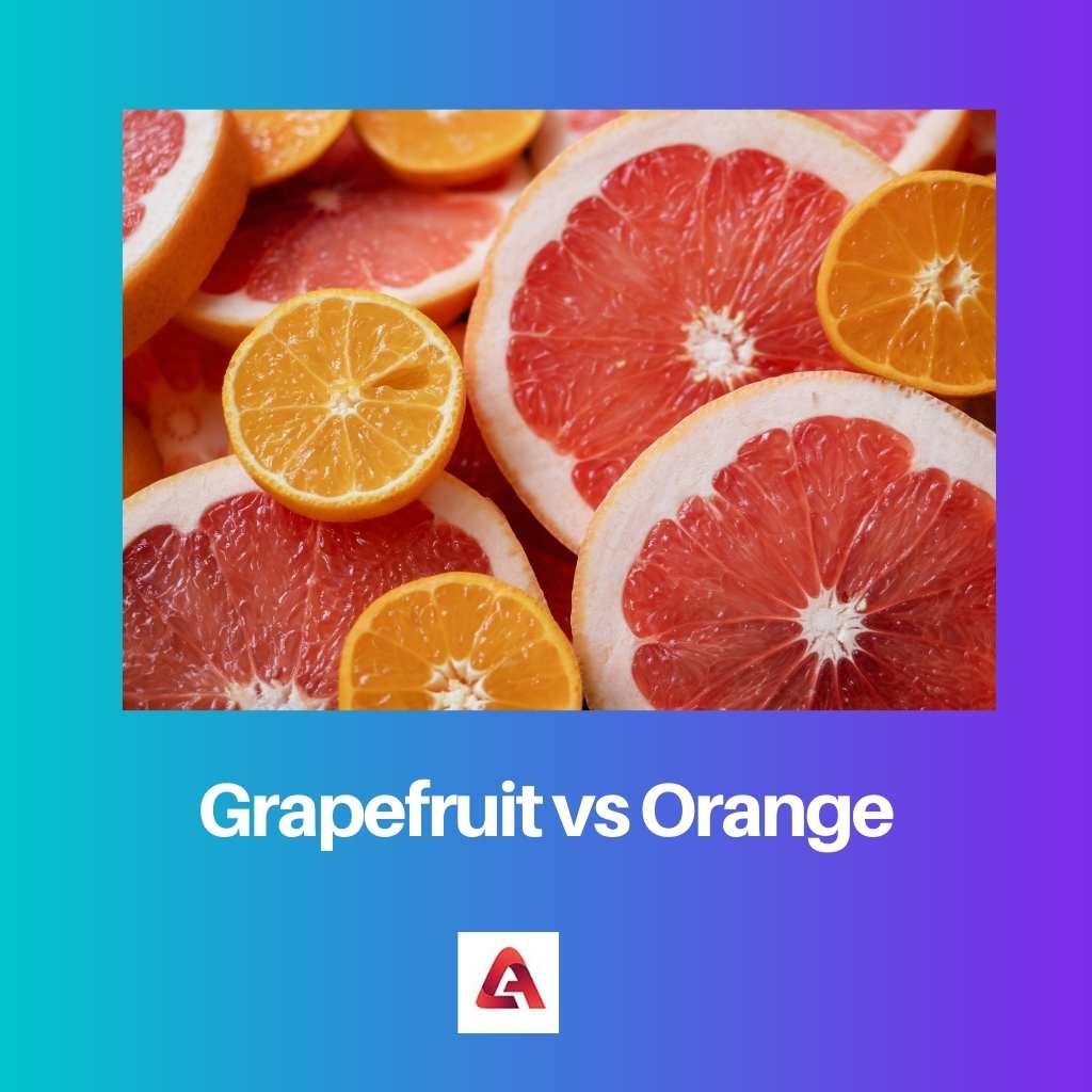 Grapefruit vs Orange