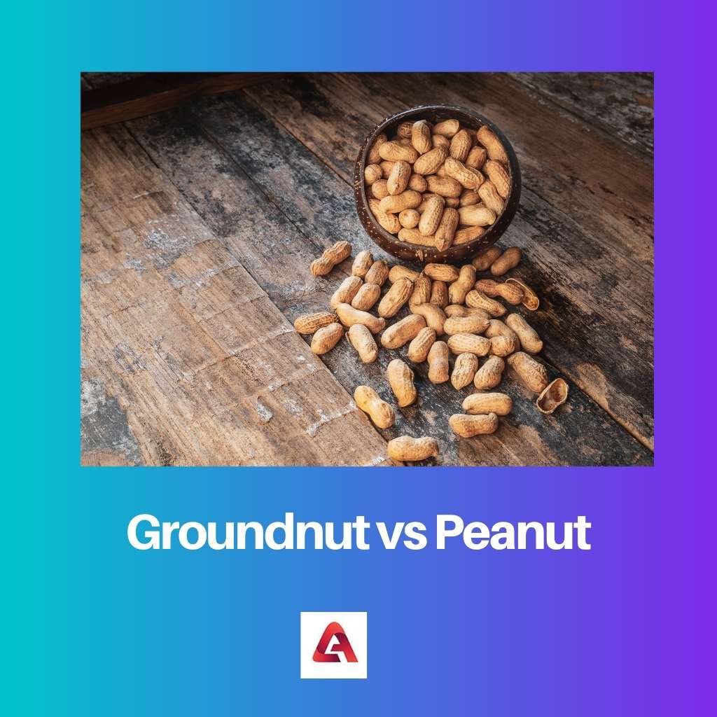 Groundnut vs Peanut