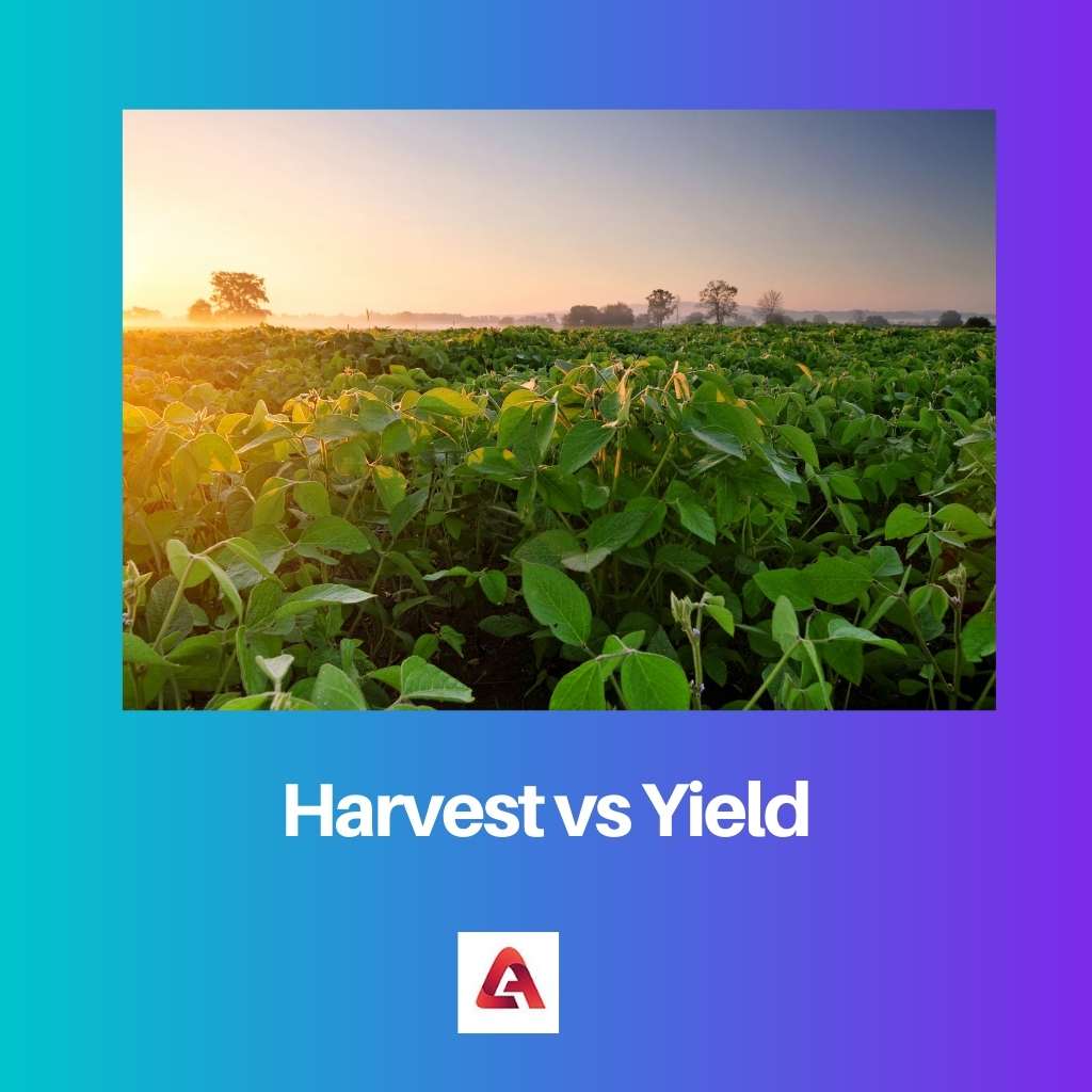 Harvest vs Yield