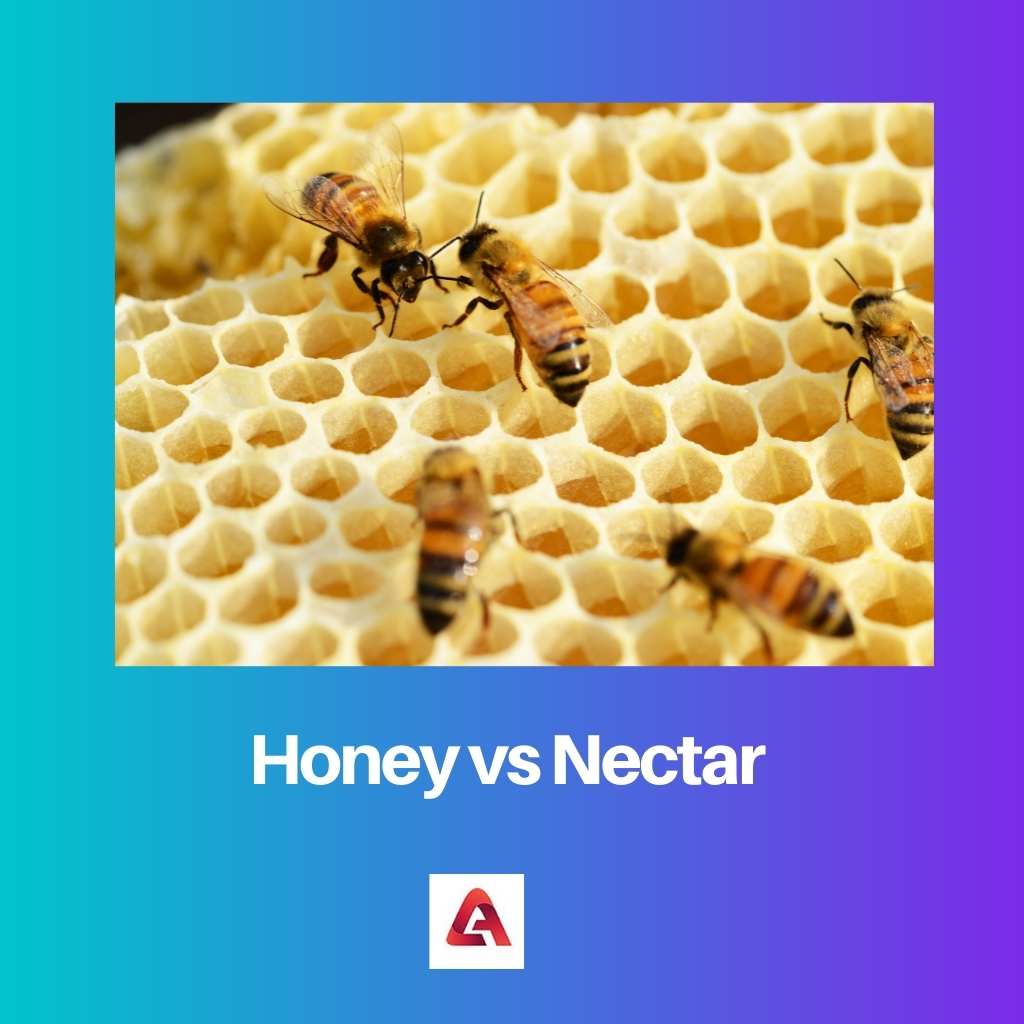 Honey vs Nectar