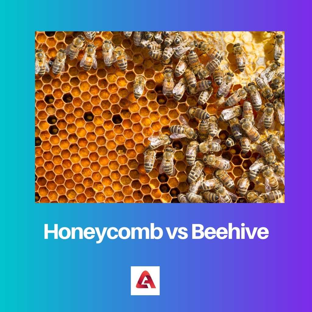 Honeycomb vs Beehive