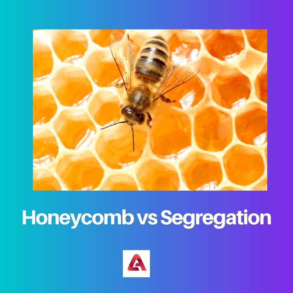 Honeycomb vs Segregation