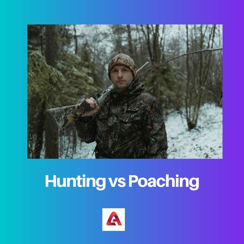 Hunting vs Poaching