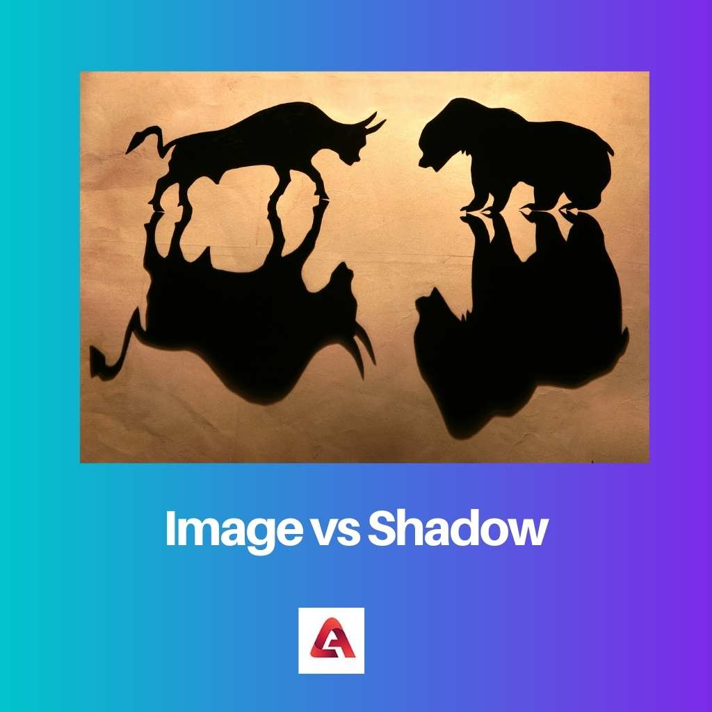 Image vs Shadow