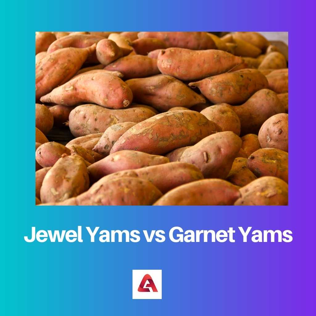 Jewel Yams vs Garnet Yams