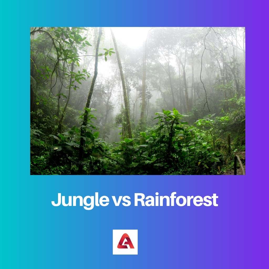 Jungle vs Rainforest