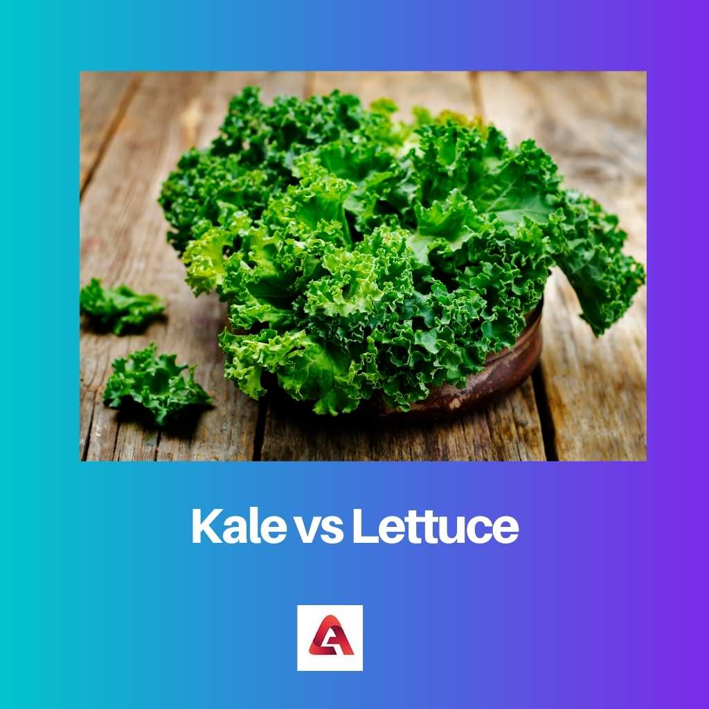 Kale vs Lettuce