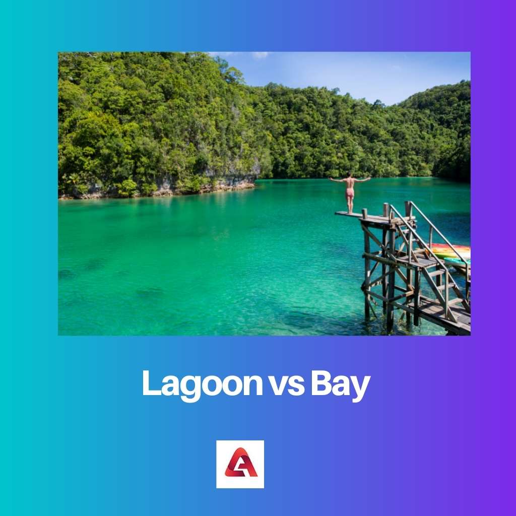 Lagoon vs Bay