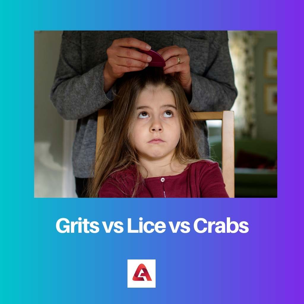 Lice vs Crabs