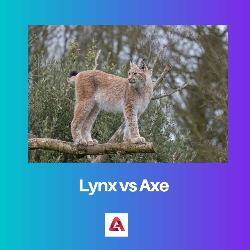 Lynx vs Axe