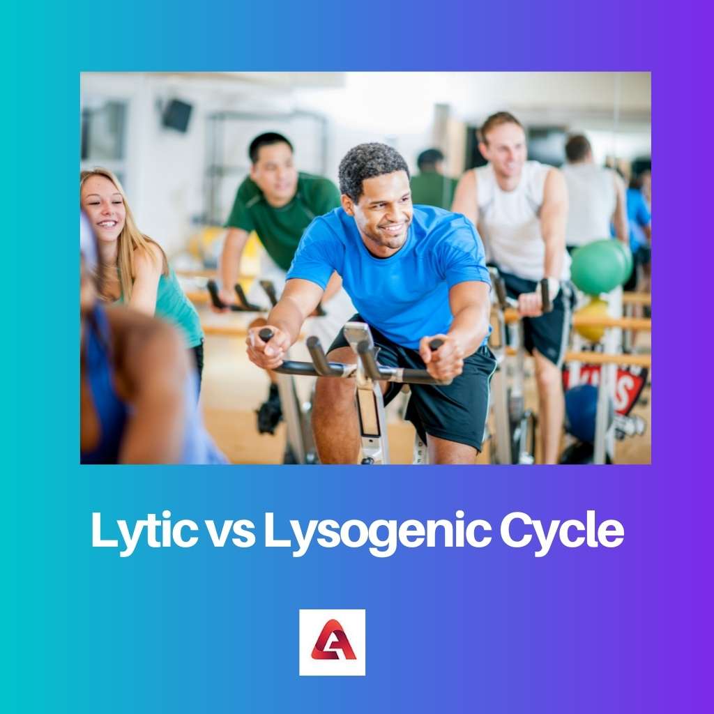 Lytic vs Lysogenic Cycle