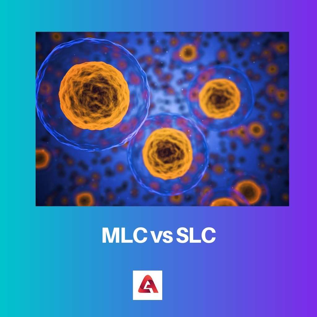 MLC vs SLC
